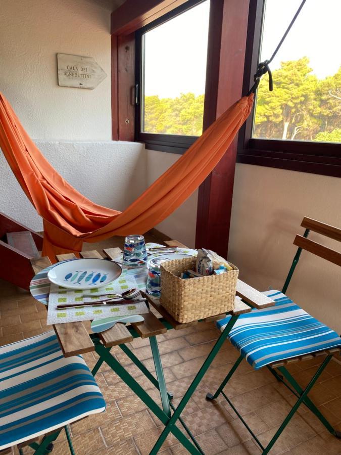 سان دومينو B&B Da Tizzy المظهر الخارجي الصورة